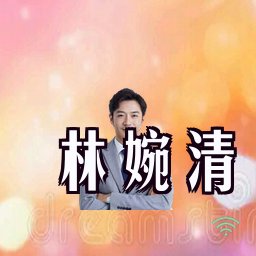 林婉清