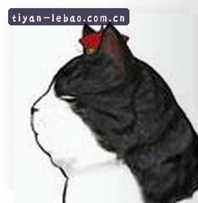 孙杰